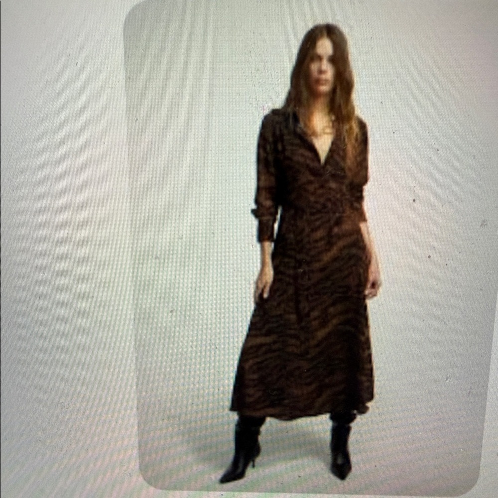 Chic Animal Print Long Sleeve Dress